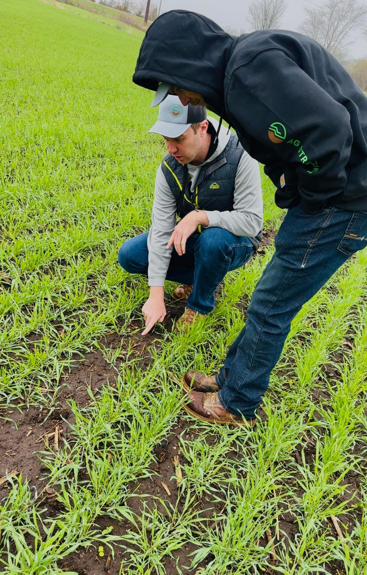 Agronomist Scouting Fields